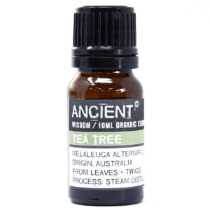 Eterično olje čajevec – organsko 10ml