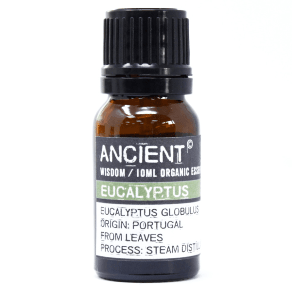 Eterično olje evkaliptus – organsko 10ml