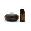 Mini brezvodni oljni USB Aroma difuzor