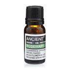 Eterično olje ROŽMARIN – 10ml